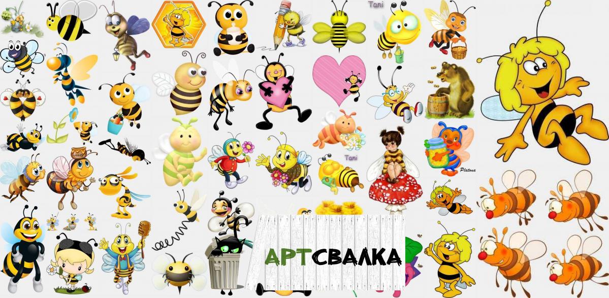 Пчелы на прозрачном фоне | Bees on a transparent background